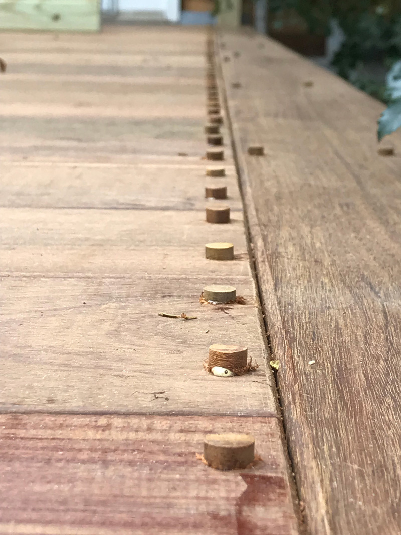 darien deck 4